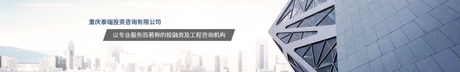 重庆91视频网站成人