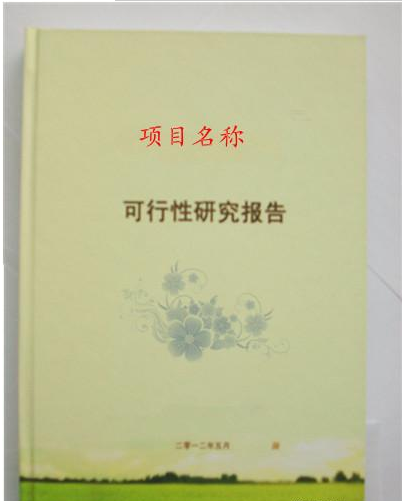 项目可研报告怎么代写？.png